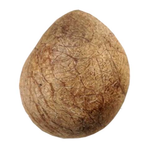 Gari (Dry Coconut) 1 Kg
